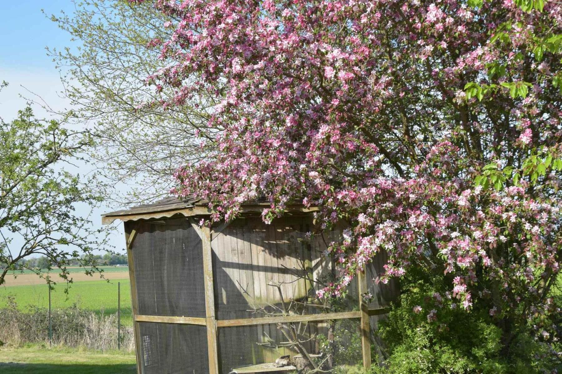 Les Chambres Du Vert Galant Le Lever Du Soleil Verlinghem Kültér fotó
